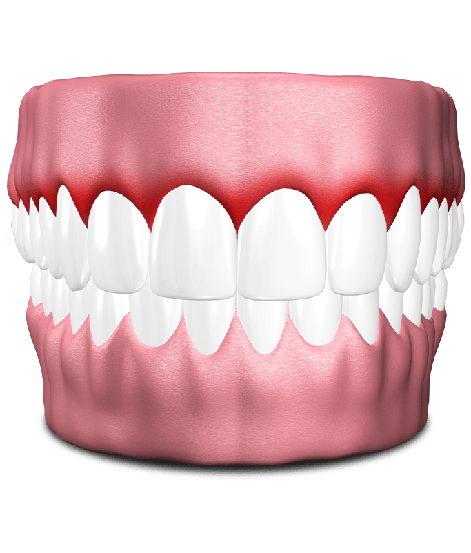 teeth model St. Johns, MI